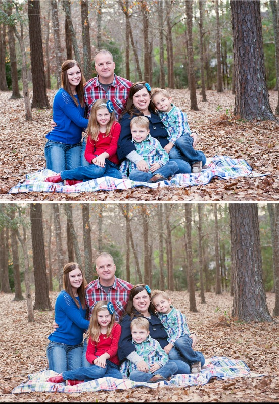 family blanket Diptych 2